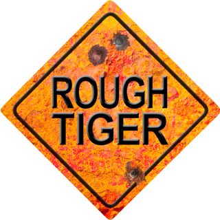 Rough Tiger, LLC