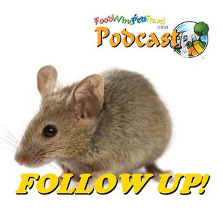 Mouse In The House (Caravan) Update - Brian & Kaye