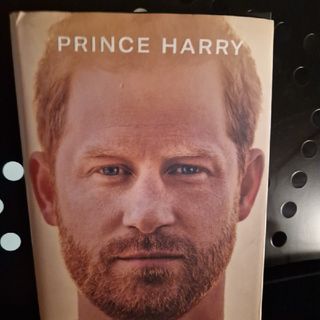 Prince Harry: Spare- Il Minore - Capitolo 31