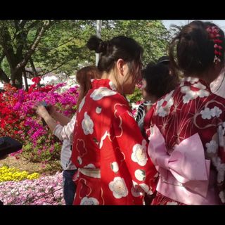 Ashikaga wisteria flower park_ I glicini giapponesi al tempo del lockdown