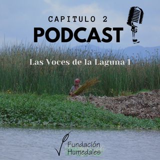 Las Voces de la Laguna Cap. 1