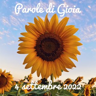 XXIII Domenica del Tempo Ordinario - Anno C