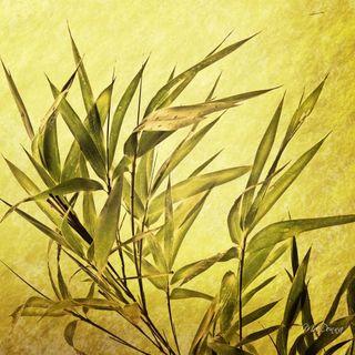 Cantici Cristiani