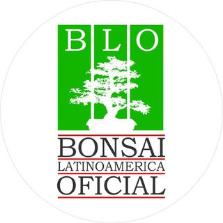 BLO Bonsai Latinoamerica Ofic