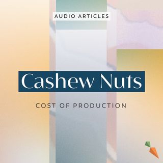 Cashew Nuts: The Hidden Cost Of Cashew Processing | FoodUnfolded AudioArticle