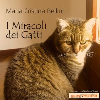 I MIRACOLI DEI GATTI di Maria Cristina Bellini, narrato da Gianluca Testa (trailer)