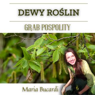 Dewy Roślin - Grab Pospolity - chroniczne zmęczenie, konsumpcja a produkcja | Maria Bucardi
