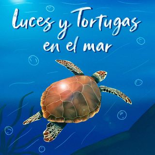 Luces y Tortugas en el Mar
