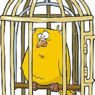 The Canary Is Choking