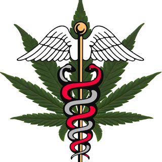 Cannabis Patients Out Of Time - 10-12-16