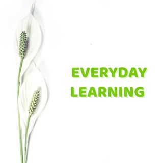 EVERY DAY LEARNING