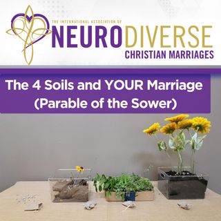 The 4 Soils and YOUR Marriage (Parable of the Sower)