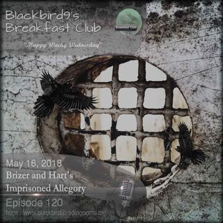 Brizer and Harts Imprisoned Allegory - Blackbird9 Podcast