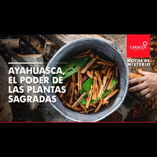 Ayahuasca, el poder de las plantas sagradas