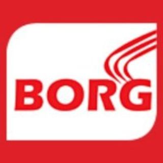 BorgEnergyIndiaPrivateLimited