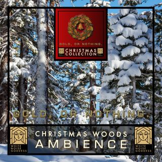Christmas Woods Ambience | Christmas Relaxing Soundscape | Snowy Quiet Forest