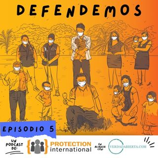 T1.E5: Impactos de la pandemia por COVID-19 en la defensa de los DD.HH.