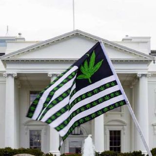 Usa: concessa la grazia a tutti i condannati per possesso di marijuana