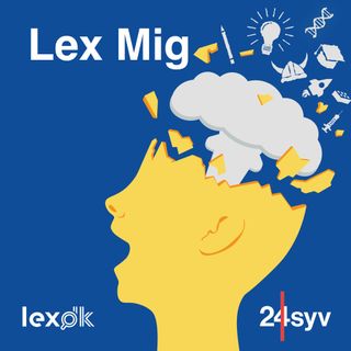 Lex Mig