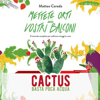 Cactus #32 - La pazienza del giardiniere - 06/05/2021