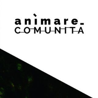 Animare Comunità - Fabio Ferrero, Ratatoj - Presentazione progetto