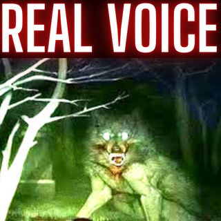 Were The Lost Roanoke Colony Killed By Werewolves? Real RECENT Roanoke Werewolf Survivor SPEAKS!