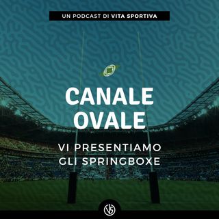 Vi presentiamo gli Springboxe