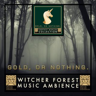 The Witcher Forest | Fantasy Forest Music Ambience