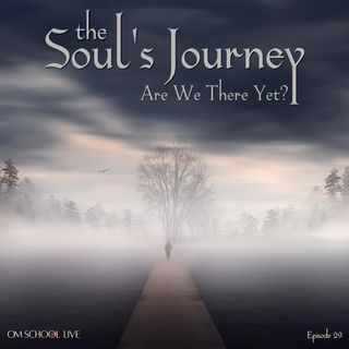 Episode 029 - The Soul's Journey - Are We There Yet