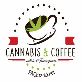 Cannabis & Coffee with Tamarijuana - Guest Jason Olver of OliDog Rescue & Pet Wellness