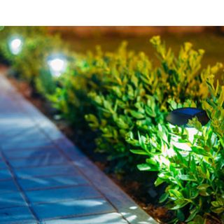 New Outdoor Lighting Ideas To Brighten Up Your Yard
