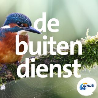 De Lepelaarplassen in wintertijd