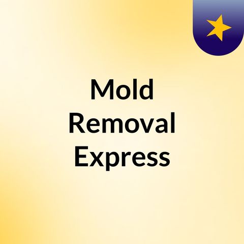 The Sight of Black Mold