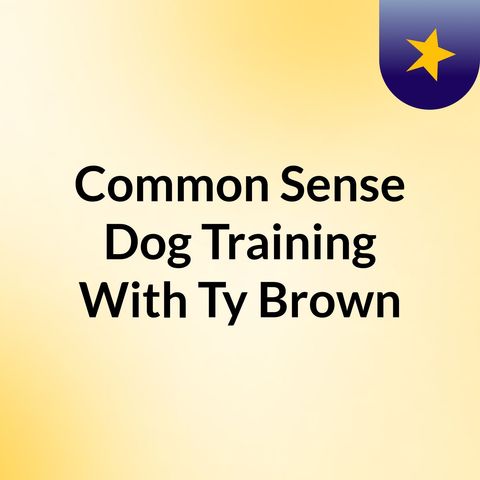 Dog Training Journey