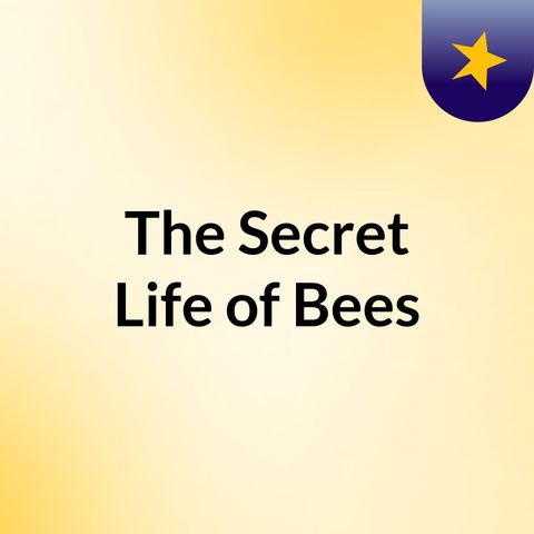 Episode 1 - The Secret Life of Bees: Chapter 1
