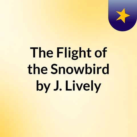 The Flight of the Snowbird