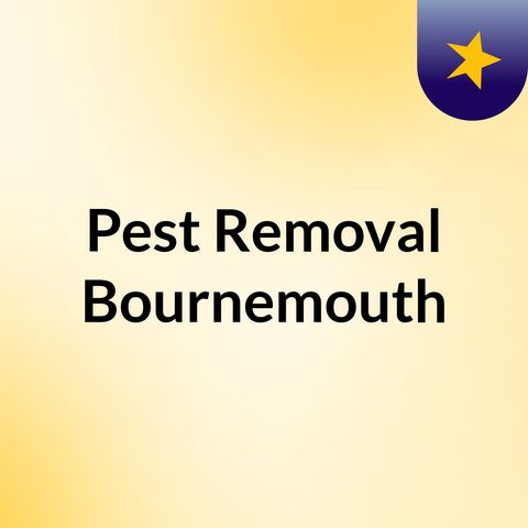 Try the best pest removal Bournemouth service today.