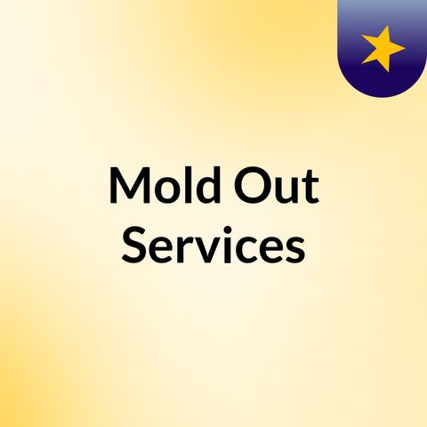 Mold Inspection by Mold Out Services
