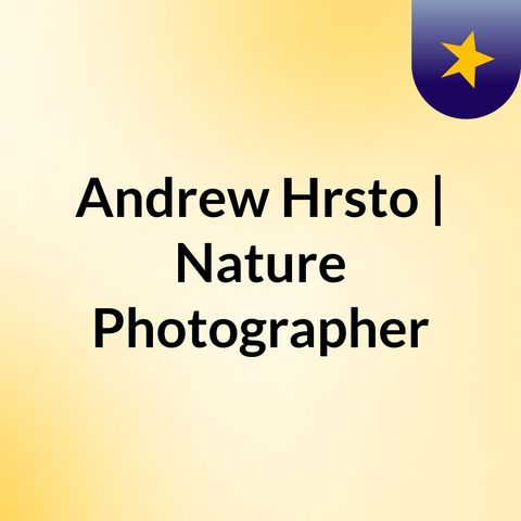 Sydney Wildlife Photographers To Follow On Social Media | Andrew Hrsto