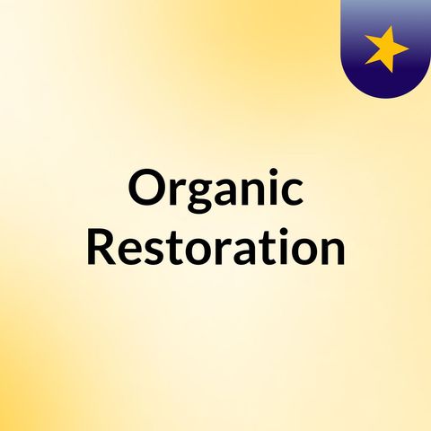 02 Organic Restoration: Discouraged by the Noise of the Past and the Present