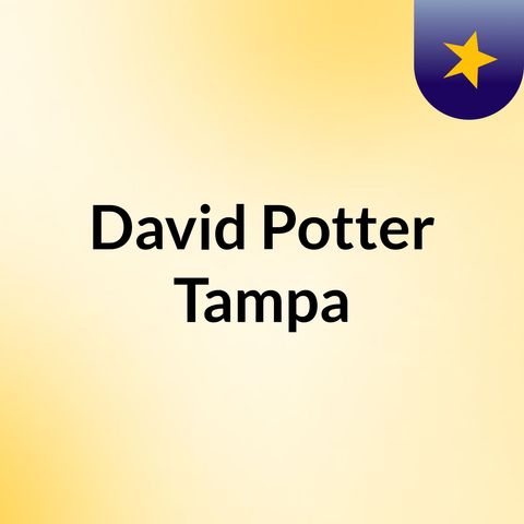 David Potter Tampa  Is Working With Private Investors, Right