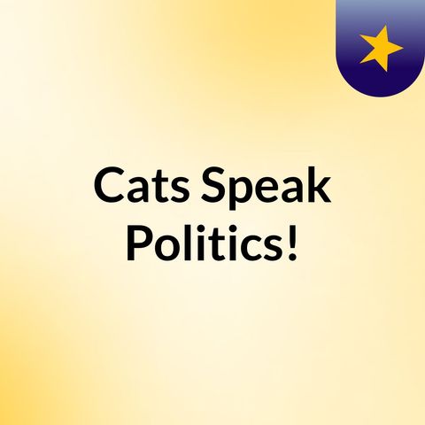 Cats Talk Politics E1 The FBI Agents Are Out To Get Us!