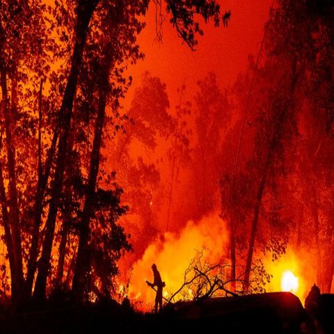 Continúan los fuertes incendios en el oeste de EUA