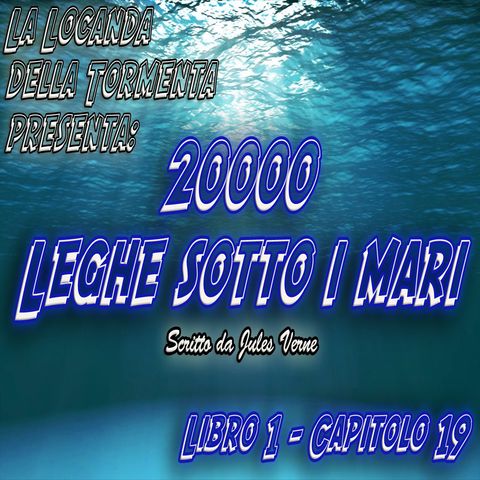 20000 Leghe sotto i mari - Parte 1 - Capitolo 19