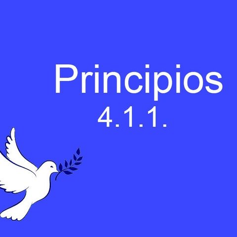 4.1.1. Principios