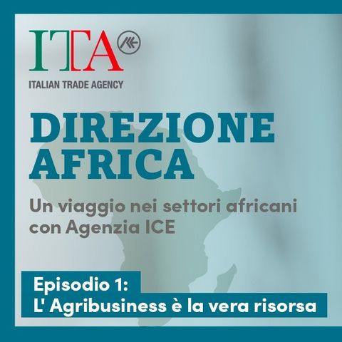 Agribusiness: la vera risorsa del Continente