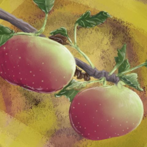 Pensieri dal territorio: La mela Rosa Romana, racconti sulla cura e protezione di beni fragili in estinzione