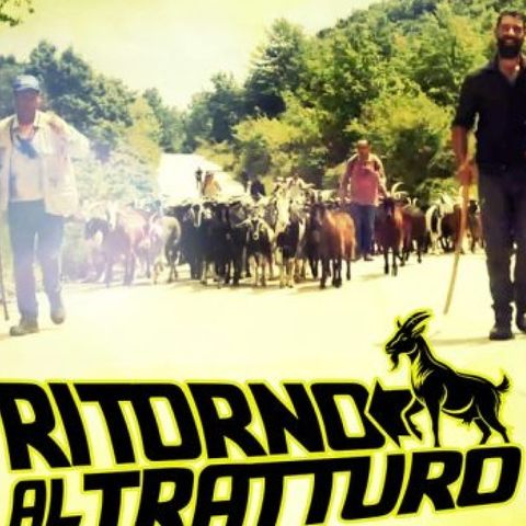 Ritorno al Tratturo. Un viaggio nelle aree interne del Molise