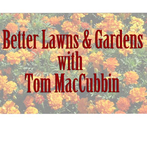 Better Lawns & Gardens 08-12-2023 Hour 1