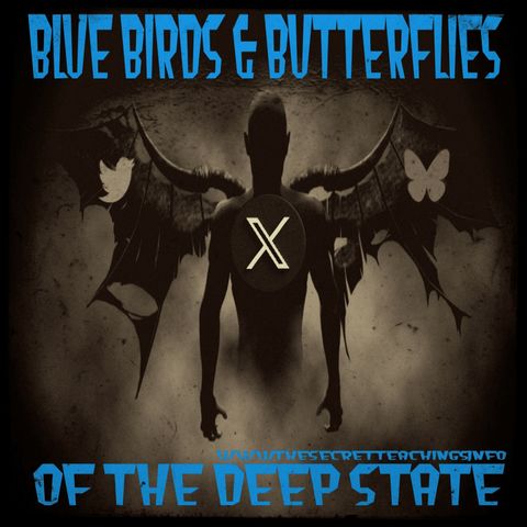 Blue Birds & Butterflies of the Deep State (11/20/24)